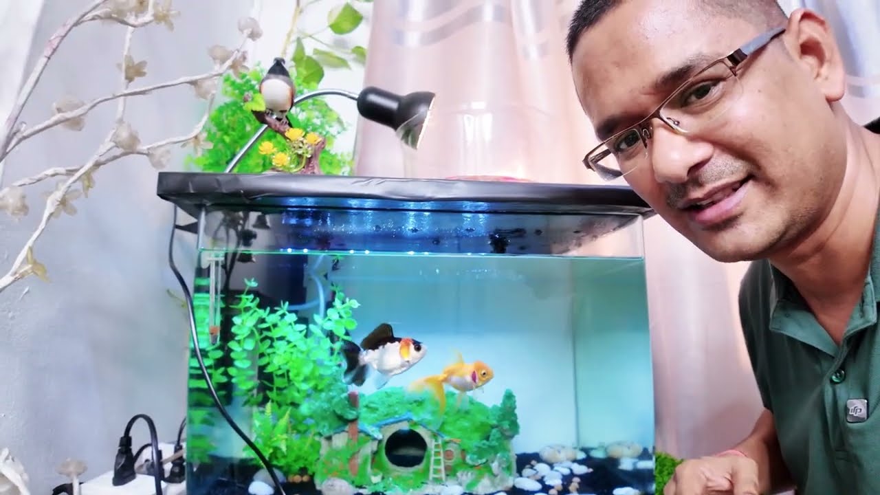 Red Eared Baby Turtle Ke Liye UV Light Aa Gai | Amar Deep Dwivedi