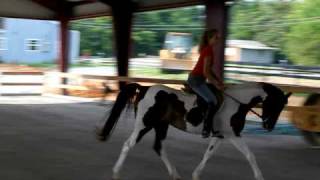 MVI_0998.avi