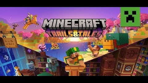 24/7 Joinable Minecraft SMP (PUBLIC) ~ 1.21 Java & Bedrock Survival Server