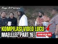 MAELL LEE I KOMPILASI VIDEO LUCU MAELLLEE PART 16.‼️
