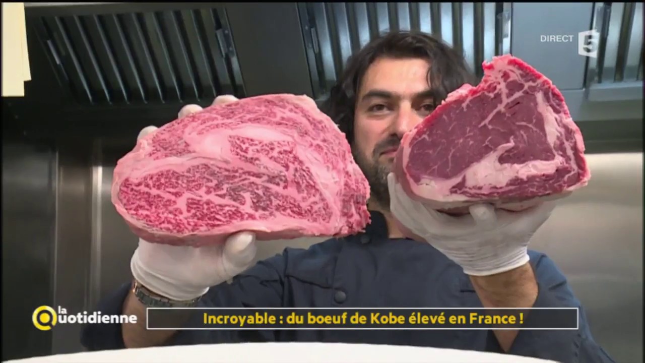 Comment sont élevés les bœufs de Kobé ? - Ça m'intéresse