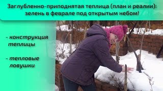 Заглубленно-приподнятая теплица(план и реалии): зелень в феврале под открытым небом!