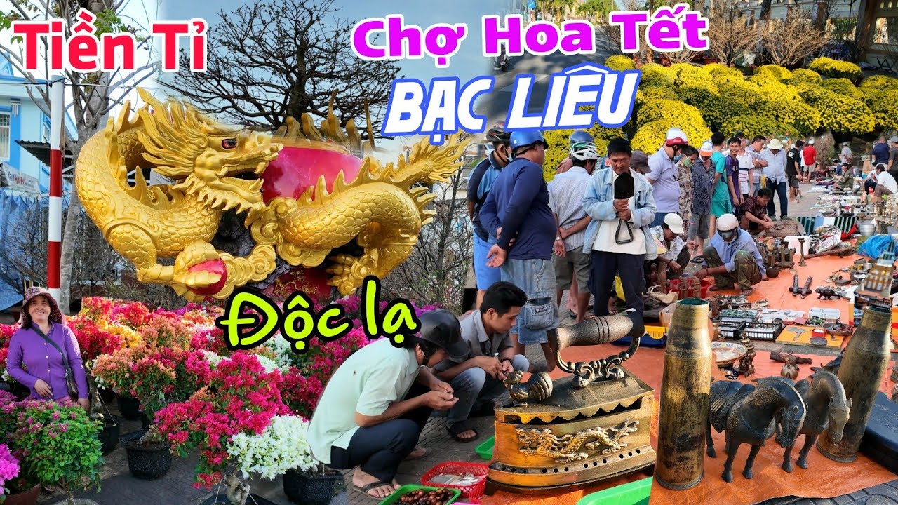 Chợ hoa tết BẠC LIÊU xuất hiện Mai hóa Rồng, Chợ Đồ Cổ - Giá hoa Tết 2024 giảm sâu?