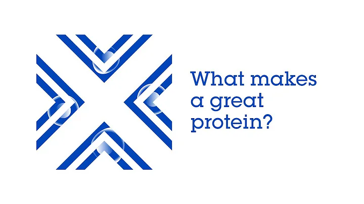 What makes a great protein? | Dr Bernd Gerhartz