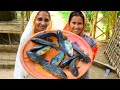 জ্যান্ত পাকা কৈ মাছের রসা রেসিপি | Koi macher Rosa recipe | Climbing Perch fish curry village style