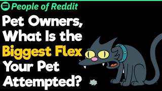 Pet Owners, What Is The Biggest Flex Your Pet Attempted?