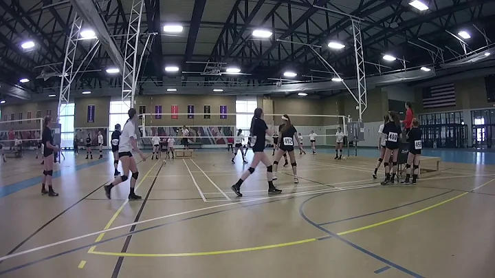 Angela Denney Volleyball