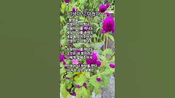 Thumbnail of #인생아고마웠다 가사 #황영웅 kpop #kpop