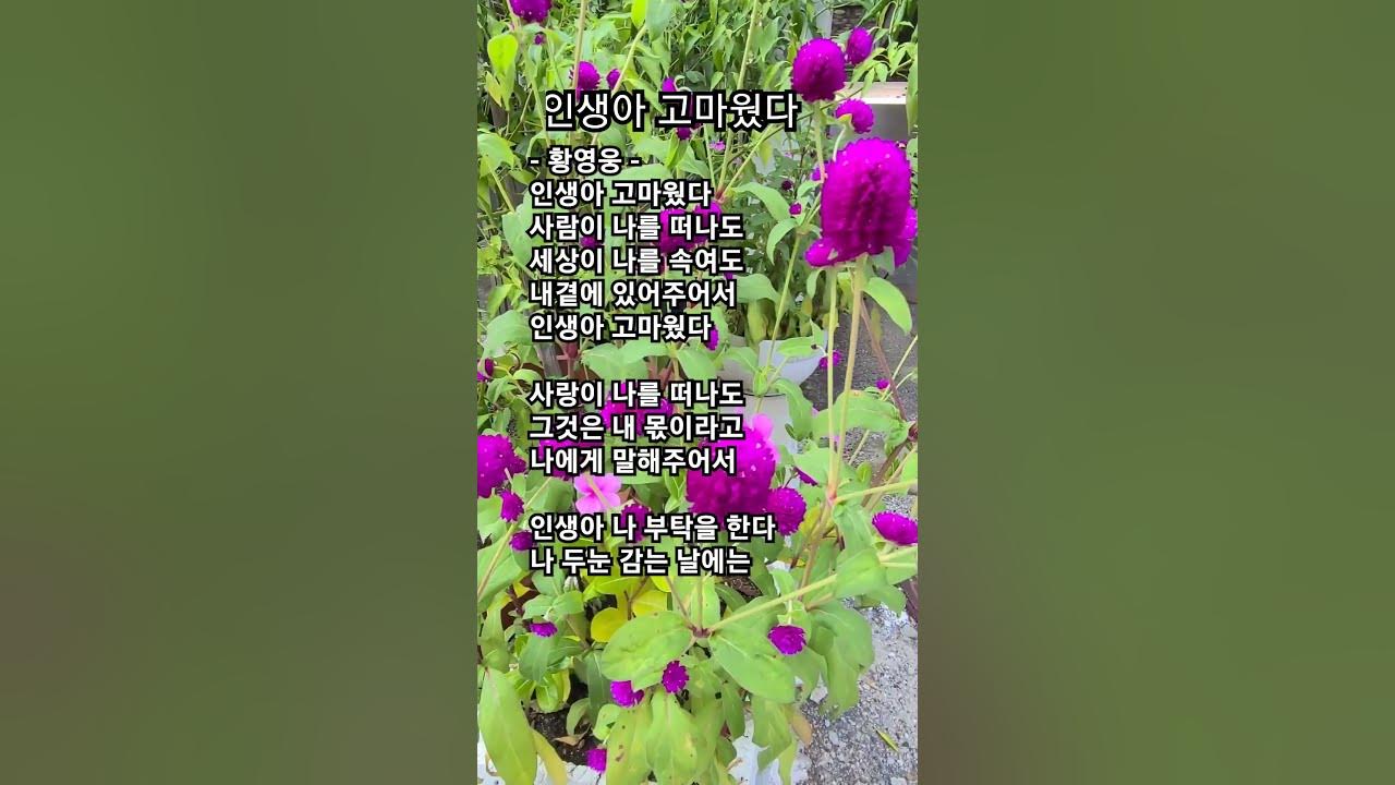 #인생아고마웠다 가사 #황영웅 kpop #kpop