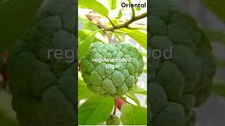 ?? benefits of sugar apple food fruits health healthy