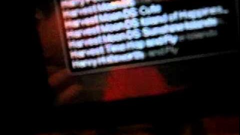 r4 fix using action replay dsi