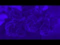 Tuscan Sun - Sextile #edmdramatic