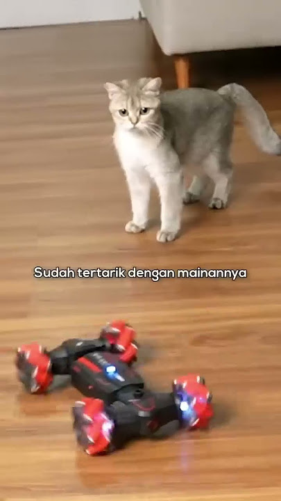 MEDY RENALDY NGEBUKTIIN MAINAN YANG VIRAL DI TIKTOK! Bisa ngontrol manusia juga? 😱