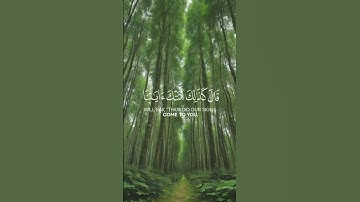 اسلام صبحي 😌ومن اعرض عن ذكري فان له معيشة ضنكا...{124}🤲 سورة طه - Surah Taha