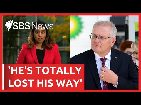 Liberal MP backs