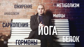 МЫШЦЫ. МЕТАБОЛИЗМ. ГОРМОНЫ. АНАБОЛИЗМ. ОЖИРЕНИЕ. ЙОГА.