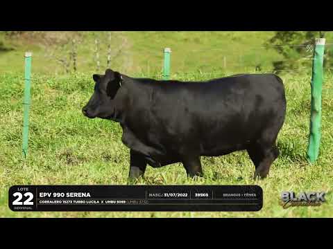 LOTE 22 INDIVIDUAL EPV 990 SERENA