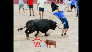 TORO DEL V ANIVERSARIO DE LA AT VIRGEN DE LA ASUNCION DE SESEÑA VIEJO by Wenc75 Videos 988 views 8 months ago 4 minutes, 33 seconds