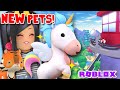 *NEW* Pet Game Has EVERYTHING We WANT on ROBLOX Overlook Bay