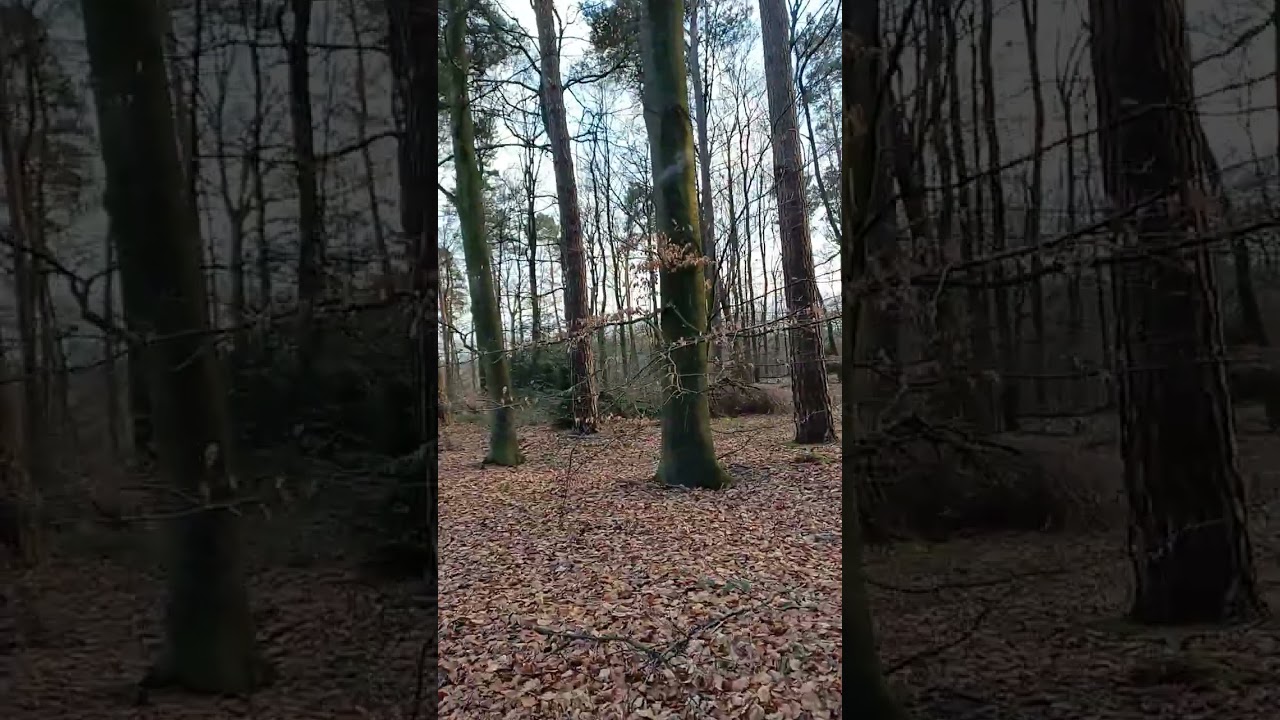 Ваша жена жрёт как свинья???