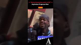 asylant Prognostiziert Die Zukunft Deutschlandsafd flchtlinge asylpolitik asyl deutsche