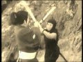 The samurai shintaro fate of a ninja   