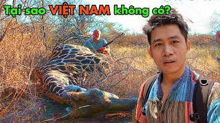 Điều mà người Châu Phi LÀM TỐT HƠN Việt Nam