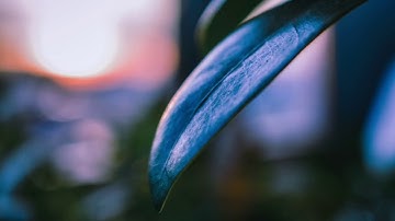 تلاوة من سورة الإسراء - القارئ يوسف العيدروس