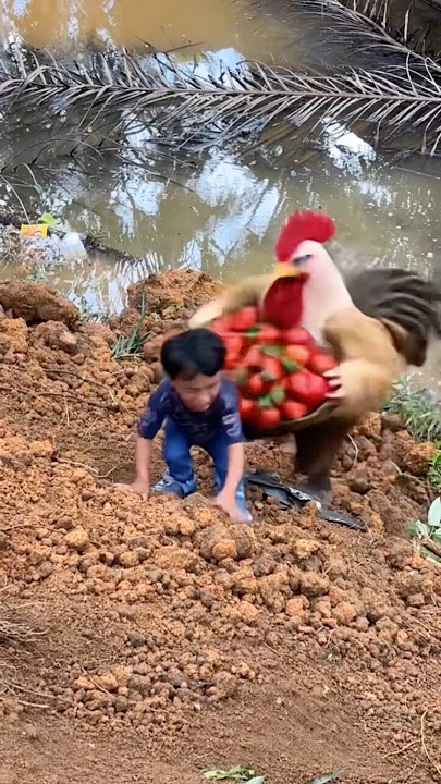 Lah kok malah hilang