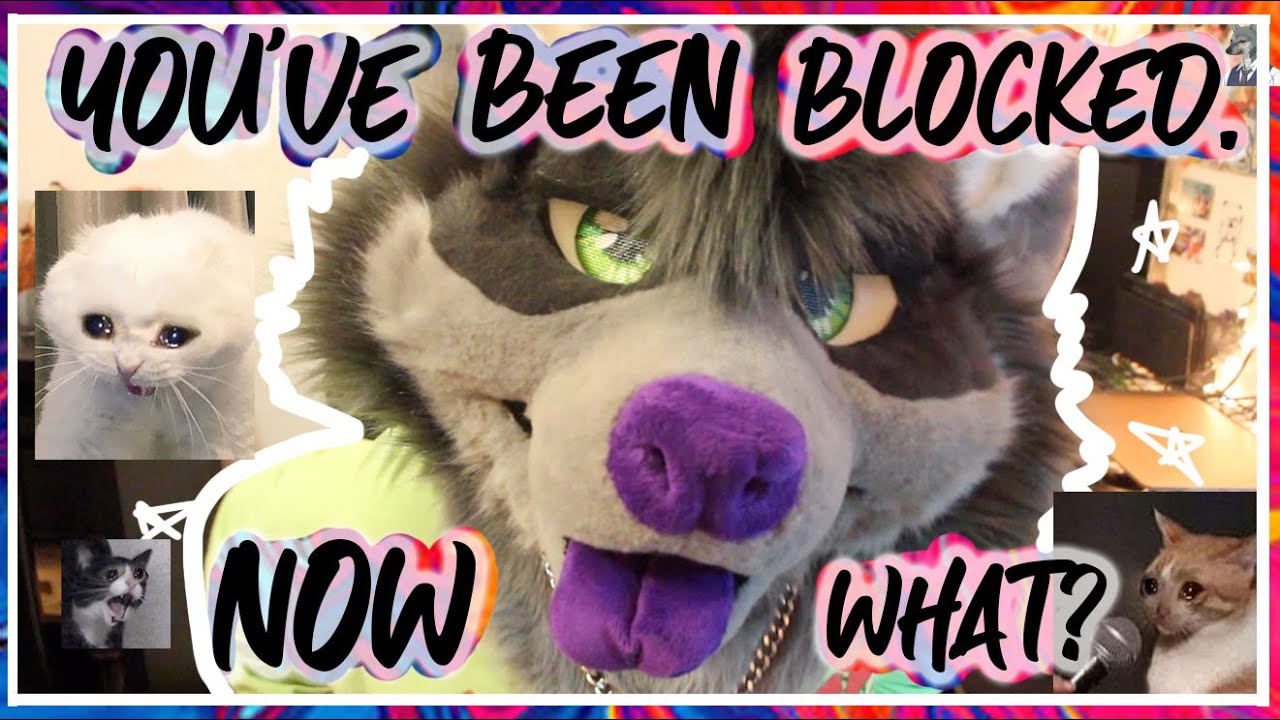 You've been blocked ... Now what? - YouTube