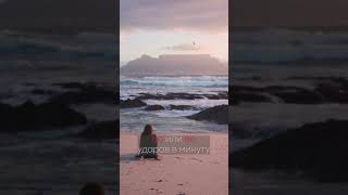 #186 - Интересные факты про разных животных! #Факты #short #животные #дикиеживотные #питомцы