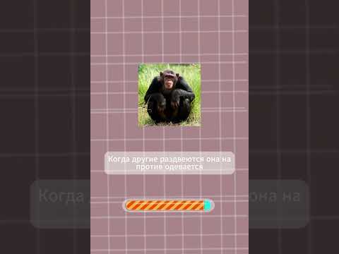 Тест для всех на логику #вопросы #викторина #значения #тест #угадай