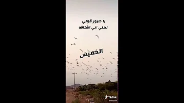 قولي اشتاقه اني ياطيور لخلي كلمات أغنية