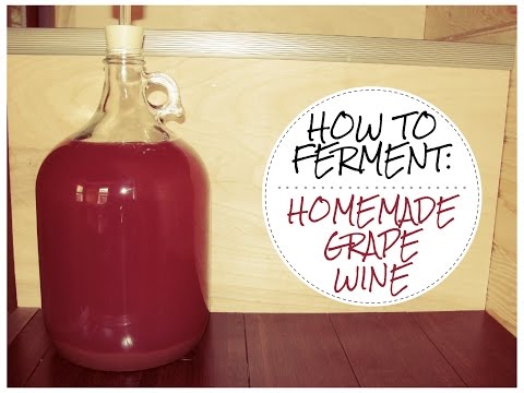 How to make WILD FERMENTED Homemade Grape Wine