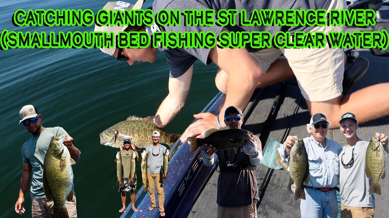 ULTRA Clear St. Lawrence River Smallmouth Bed Fishing (Catching GIANTS ...