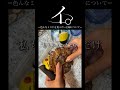 イ。ー色んなミスドが食べたい主婦についてー