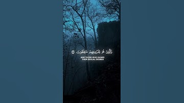 #سورة_المؤمنون #قرآن #قران_كريم #راحة_نفسية #اكسبلور #quran #islamicvideo #explore
