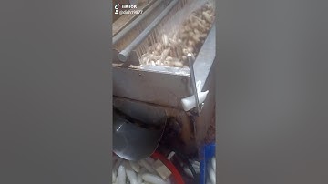 máy rửa củ cải độc lạ của Việt Nam