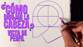 Aprende a dibujar la cabeza I VISTA PERFIL I Anatomía para artistas I Venegas Arte