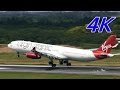 【4K】Last Message @NRT Virgin Atlantic Airways Airbus A340 313G VELD Takeoff Rwy16R@Narita