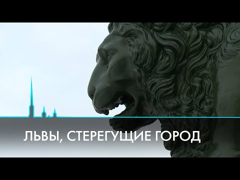 Львы Санкт-Петербурга