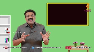 KITE VICTERS Plus Two Business Studies Class 42 (First Bell-ഫസ്റ്റ് ബെല്‍)