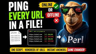 I Wrote a Perl Script It Tests Every Website in Seconds URL Pinger - Checks Sites Are DEAD or Alive