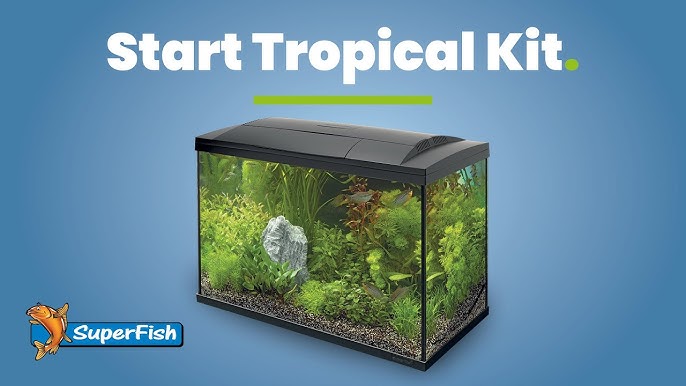 SuperFish Start 30  Jungle Aquascape 