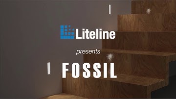Introducing Liteline