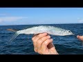 The SECRET! Bait and Tackle Shops WONT Teach You!! -How to Catch Ballyhoo (Tackle Tuesday)