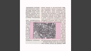 доля 44-2 - Foresteppe