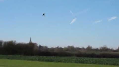 Steve inverted Trex 600 circuits