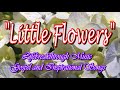 LITTLE FLOWERS (Gospel Music by #lifebreakthrough)