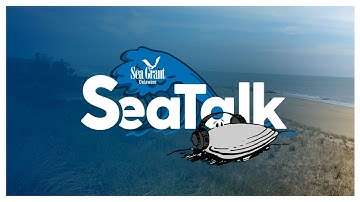 March 2021 SeaTalk: CoastSnap Delaware